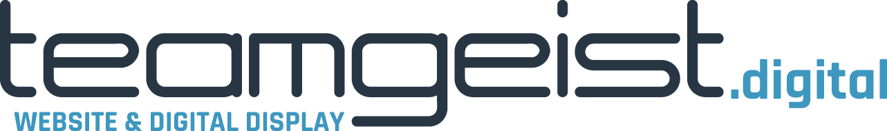 Logo teamgeist digital auf hell Logo auf dunkel